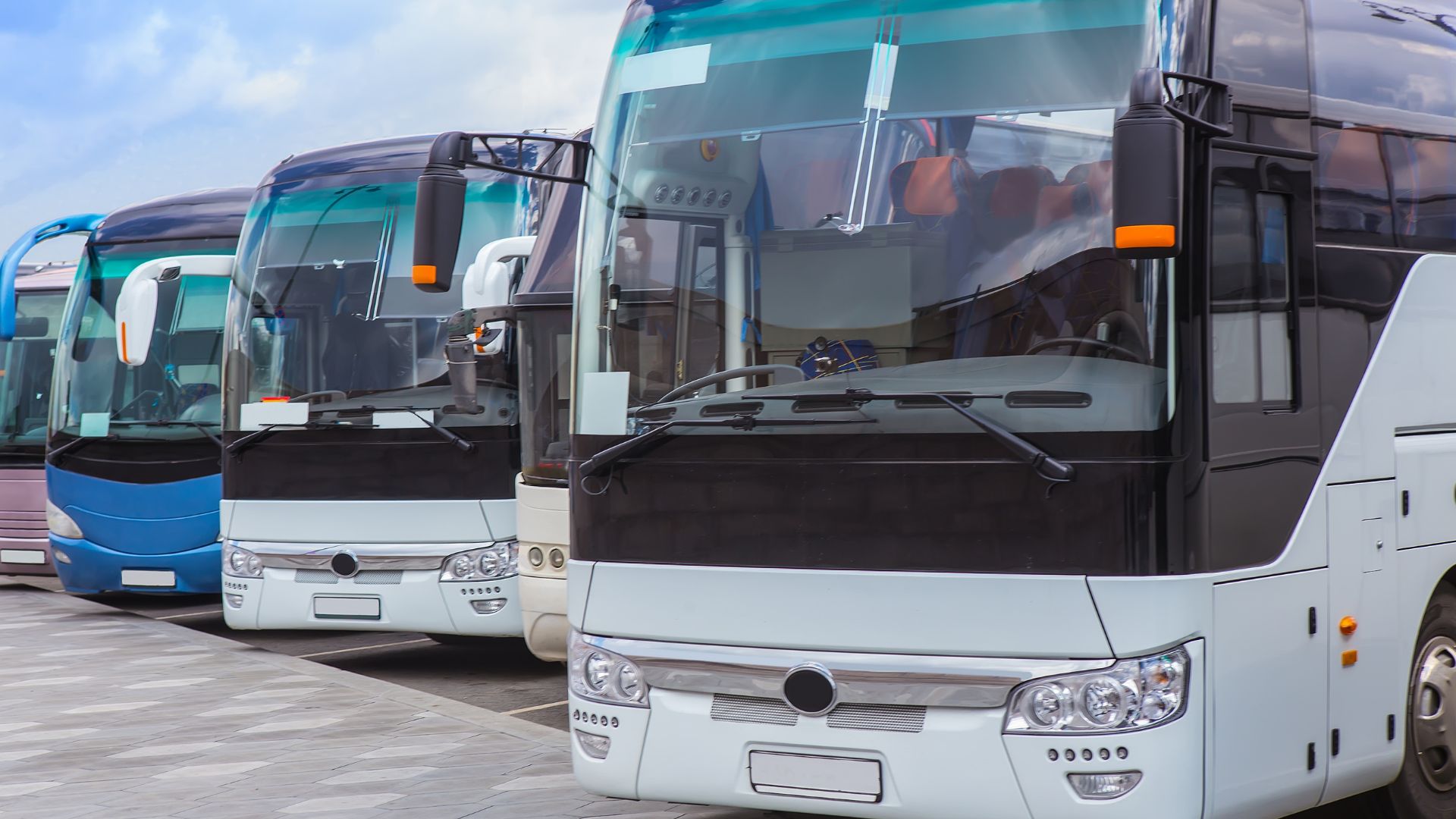 A row of motorcoaches are parked in a line