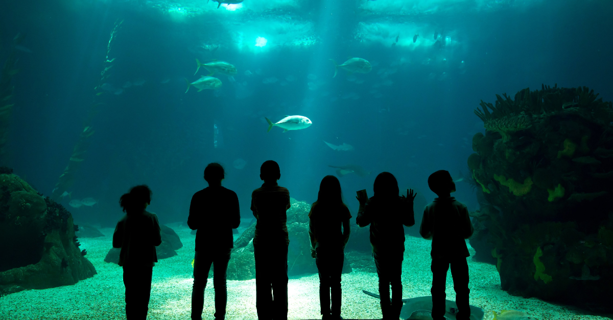 A group of school children at the aquarium.
